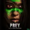 Sarah Schachner - Prey (Original Soundtrack)